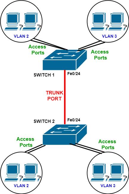 إيه هو Trunk؟ وبيفرق إزاي عن Access Port؟