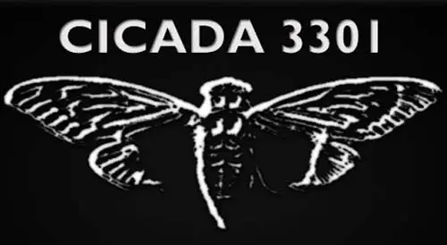 cicada_bg00120170831.jpg