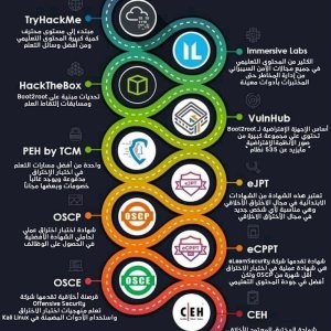 خريطة طريق الأمن السيبرانى