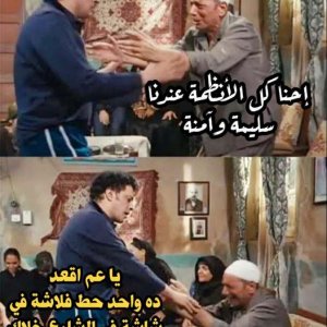 أنظمة مصر السليمة