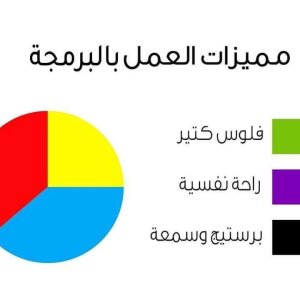 مميزات العمل بالبرمجة