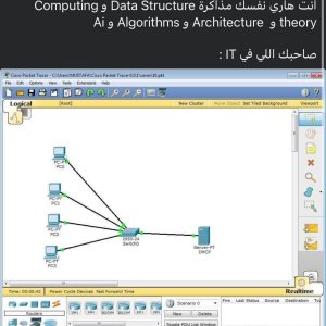 مهندس IT الرايق