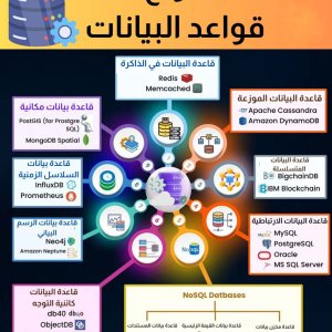 أنواع قواعد البيانات