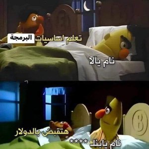 TabCode Arabic (204)