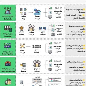 أهم 5 مصطلحات البيانات لعلم البيانات