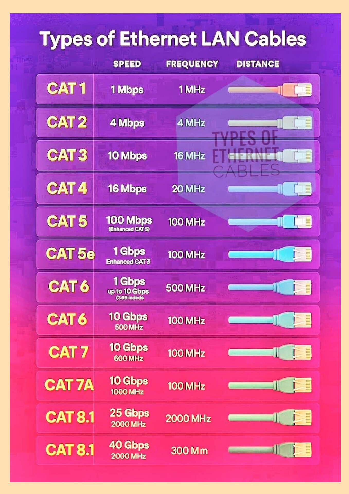 Confused About Ethernet Cables? Here's the ULTIMATE Guide You Need!