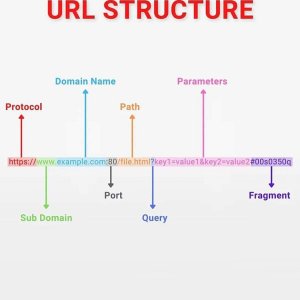 URL Structure