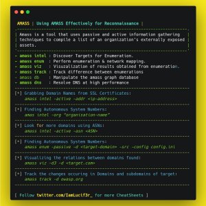 Amass commands and cheatsheet