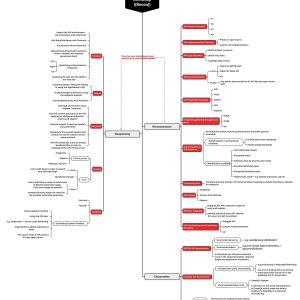 API Pentesting Mindmap