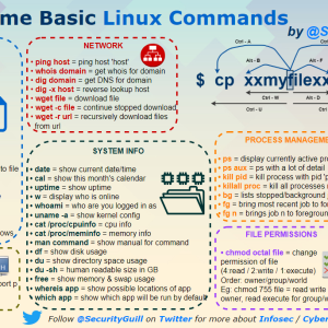 Basic Linux Commands