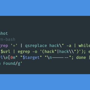 Find XSS in Single Shot