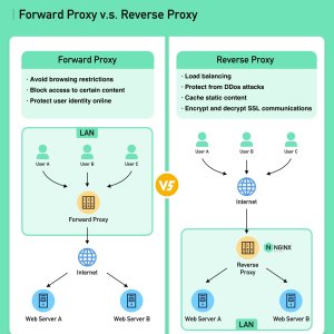 Forward Proxy vs Reverse Proxy2