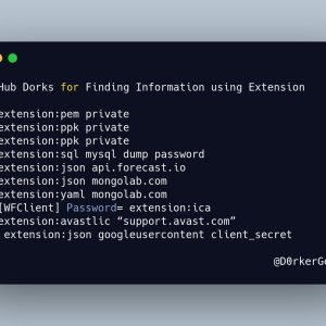 Github dorks for finding information using extension