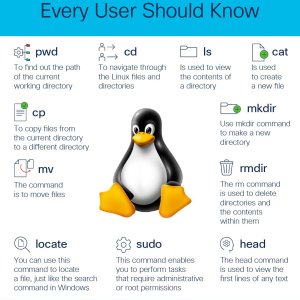 Linux Basic Commands