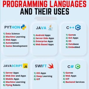 Programming Languages and Their Uses