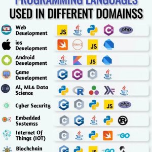 Programming Languages Used in Different Domains