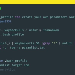Recon profile for create your own parameters wordlist