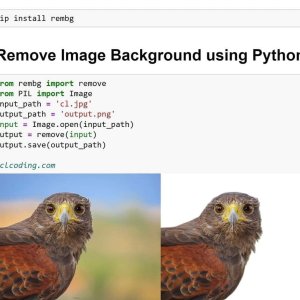 Remove Image Background Using Python