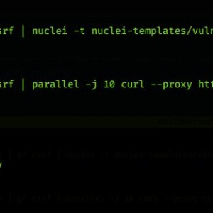 SSRF one liner command (both mannual & automatic) and tips