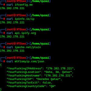 Tips to find your Public IP from command line