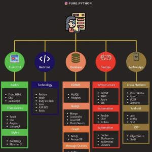 Full Stack Developer